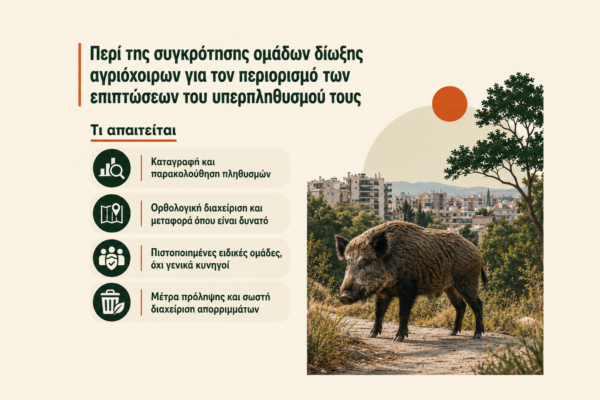 Περί της συγκρότησης ομάδων δίωξης αγριόχοιρων για τον περιορισμό των επιπτώσεων του υπερπληθυσμού τους.
