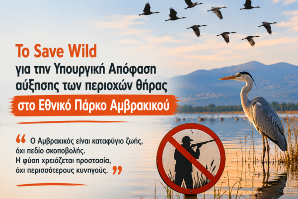Το Save Wild για την Υπουργική Απόφαση αύξησης των περιοχών θήρας στο Εθνικό Πάρκο Αμβρακικού