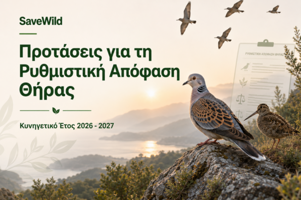 Το SaveWild υποβάλλει τις προτάσεις του για τη Ρυθμιστική Απόφαση Θήρας 2026-2027